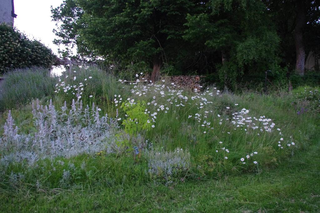 L'Autre Temps Villa Léglise Buitenkant foto